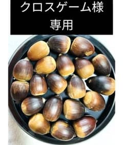 オキナワウラジロガシのどんぐり 20個のサムネイル
