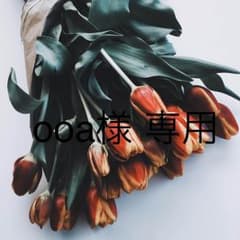 ooa様 専用のサムネイル