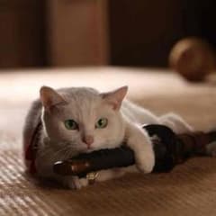 shayneさん専用のサムネイル