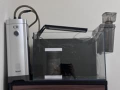 海水魚・サンゴ飼育フルセット 45cm水槽セット - メルカリ