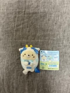 스미코구라시 수주 예약 판매 테노리 봉제인형 고양이 장미 판매