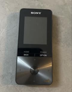 [ジャンク] SONY NW-S313 デジタル音楽プレーヤーのサムネイル