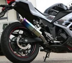 Realize カワサキ ニンジャ EX250L Aria チタンTypeC - メルカリ