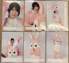 櫻坂46 森田ひかる 生写真 6種コンプ 見つけて櫻坂うさぎ 森田まろまろのサムネイル