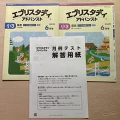 Z会 エブリスタディ アドバンスト 小3 6月号 2023年 算数 国語 - メルカリ