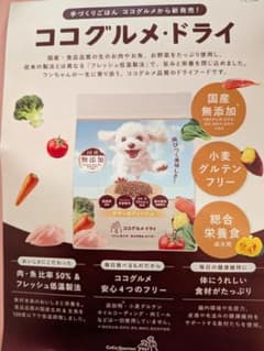 【らくらくメルカリ便発送】ココグルメ ドライ チキン＆フィッシュ 850g 2袋 ココグルメ・ドライ チキン＆フィッシュ850グラム - メルカリ