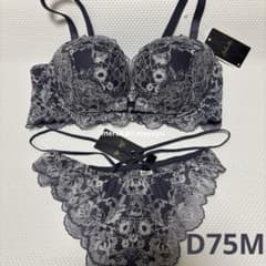 サルート 20グループ ブラD75 ソングM - メルカリ