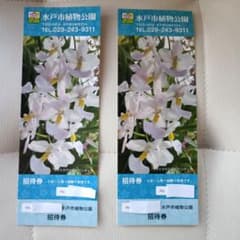 水戸市 植物公園 招待券 チケット 入場券 2枚 ペア 無料
