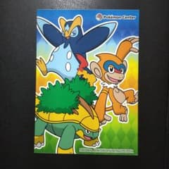 ポケモンセンター ダイヤモンド＆パール 「ハヤシガメ＆モウカザル