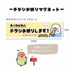 チラシお断りマグネット(セキセイインコブルー)のサムネイル