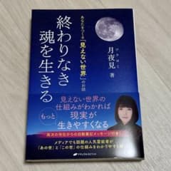 終わりなき魂を生きる 著 月夜見のサムネイル