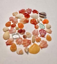 天然貝殻 シーグラス 素材 詰め合わせ 087のサムネイル
