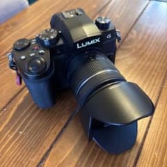 最終値下げ!!】LUMIX G99D 標準ズームレンズ付き - メルカリ