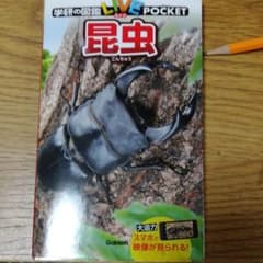 昆虫のサムネイル