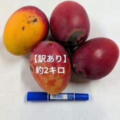 【訳あり】宮崎県産完熟マンゴー　約2キロのサムネイル