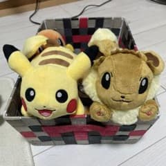 포켓몬 러닝 피카츄 이브이 세트 봉제인형