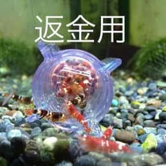 返金用ページのサムネイル
