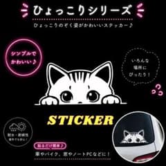 No.115 ひょっこり 猫 カッティングステッカー◎カーステッカー◎ペットのサムネイル