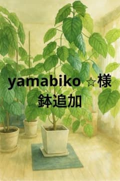 鉢のサムネイル