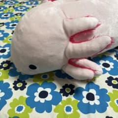 珍獣捕獲シリーズ メガウーパールーパー わくでかぬいぐるみ 1体
