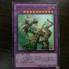 ナチュルエクストリオのサムネイル