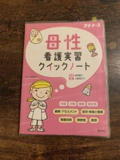 母性看護実習クイックノートのサムネイル