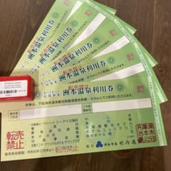 さくら様専用！洲本温泉利用券　お値下げしました^_^10枚のサムネイル