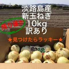 ★見つけたらラッキー★ 5月9日までの特価　淡路島産 新玉ねぎ 10kgのサムネイル