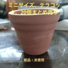 素焼き鉢 ミニサイズ 10個セット 多肉植物 寄せ植えのサムネイル