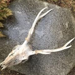 m53933128403_1.jpg?1685419051