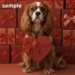 【期間限定】[150中]キャバリア　犬　バレンタインステッカーのサムネイル