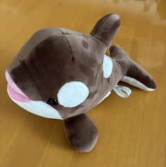 神戸須磨シーワールド オルカくじ 4等 ショコラ・デュオ 白 - メルカリ