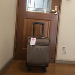 ACEのキャリーケース  ✳︎新品 ✳︎のサムネイル