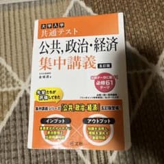大学入学共通テスト 公共・政治・経済 集中講義 五訂版のサムネイル