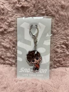 すのチルアクリルキーホルダー　向井康二のサムネイル