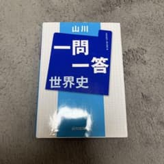 山川一問一答 世界史のサムネイル