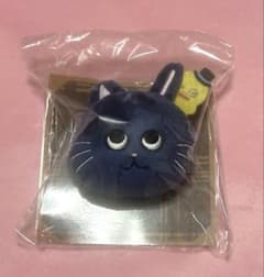 RIIZE ぬいぐるみバッジ トニャンドク ウォンビン トレカ付 - メルカリ