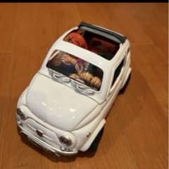 安いフォルチーノの通販商品を比較 | ショッピング情報のオークファン