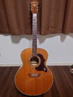 Washburn Cumberland アコースティックギターのサムネイル