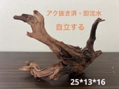 HX-148 流木 マシンガンウッド ホーンウッド アクアリウム ブランチ