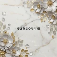 토끼 토끼님 전용 고맙습니다✩.*˚