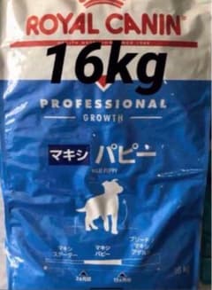 ロイヤルカナン プロフェッショナル マキシ パピー 16kg 大型犬 子犬用