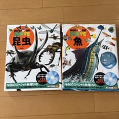 NHKのスペシャル映像DVD 昆虫・魚セットのサムネイル
