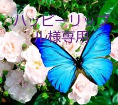 芍薬の種のサムネイル