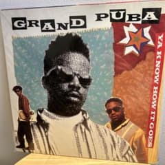 Grand Puba / Brand Nubians レコード5枚 HIPHOPのサムネイル