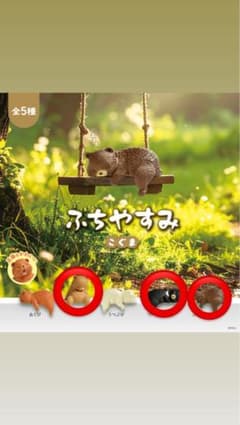 ふちやすみ　こぐまのサムネイル