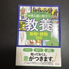 ぶどう様 リクエスト 4点 まとめ商品のサムネイル