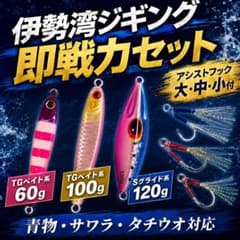 伊勢湾ジギングセット TGベイト系 60g 100g 120g フック付 - メルカリ