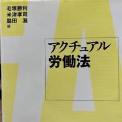 アクチュアル労働法のサムネイル