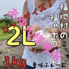 福地村産　土付き　L 10kg 青森県産にんにく　乾燥　夏坂ふぁーむ 夏坂ふぁーむ の出品した商品 - メルカリ